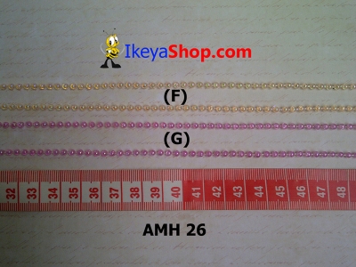 AMH 26 F G  large2